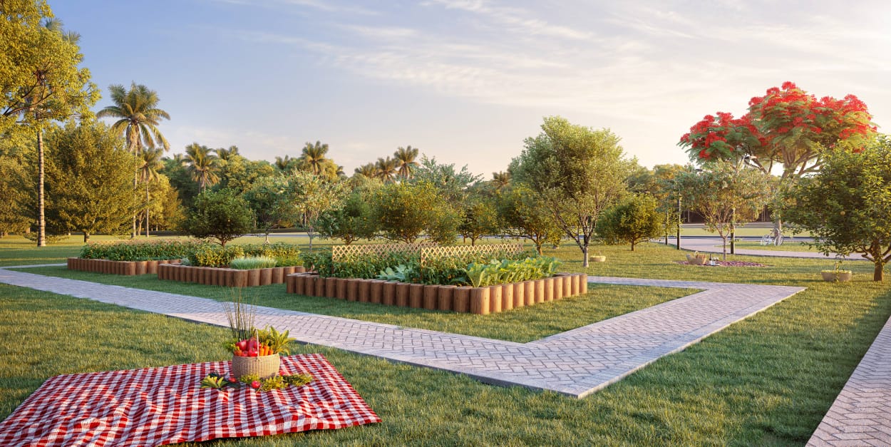 WhatsApp Image 2025-11-06 at 13.51.33